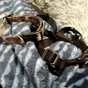 Used Halter and collar combo